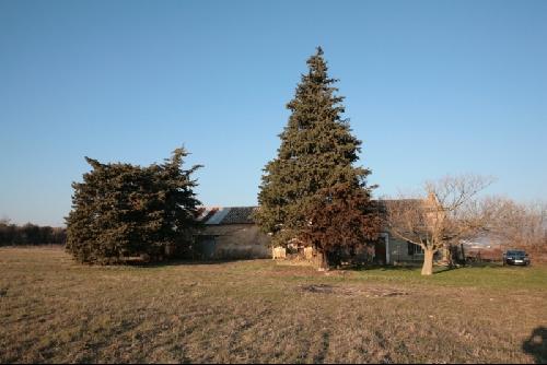 Mas en Provence à rénover sur 1,5 hectares proche d'Apt